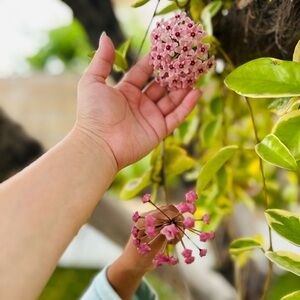 Meet your Posher, Gabriela